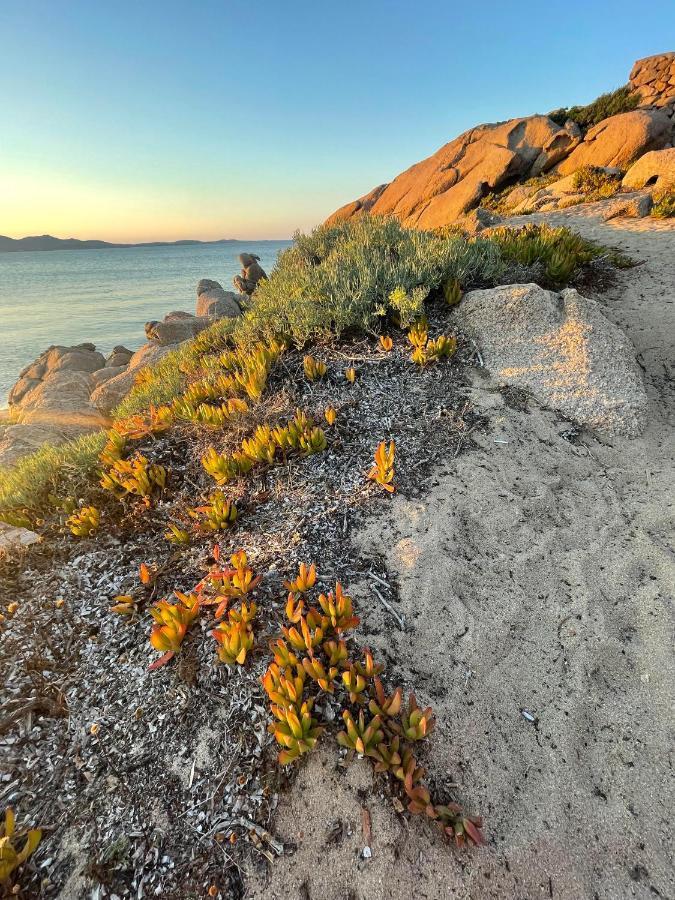 Апартаменты Yucca Ольбия Экстерьер фото